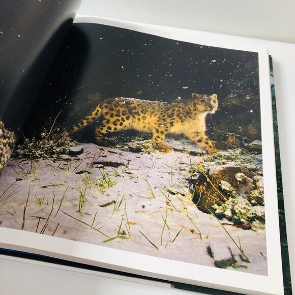 Visions of Paradise Hardcover – October 21, 2008 by National Geographic - Picture 2 of 6